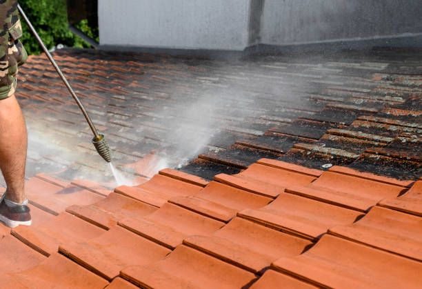 Best House Pressure Washing  in Morton, IL