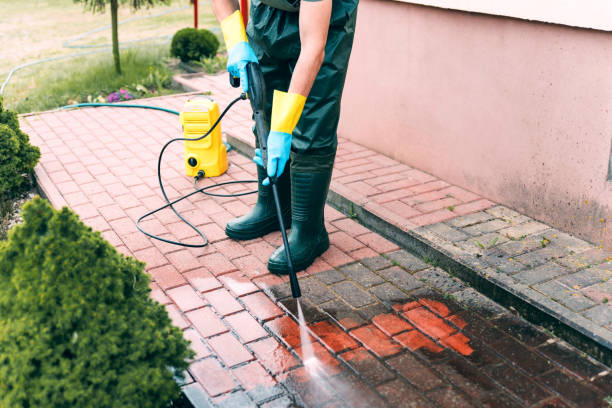 Best Roof Power Washing Services  in Morton, IL