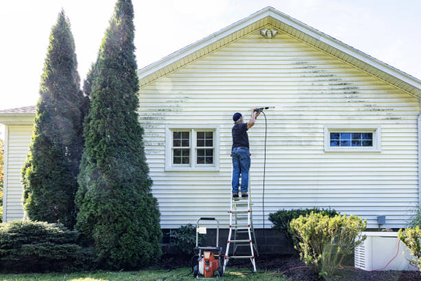 Best Pressure Washing Siding  in Morton, IL