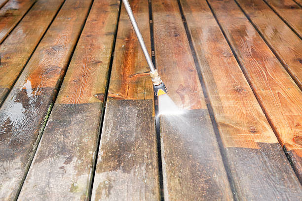 Best Roof Power Washing Services  in Morton, IL