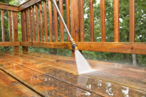 Best Best Pressure Washing Companies  in Morton, IL