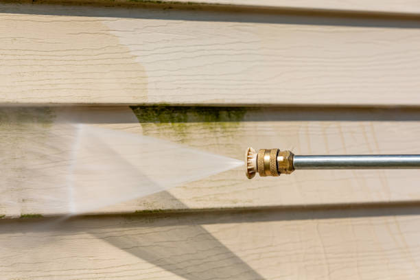Best Affordable Power Washing  in Morton, IL