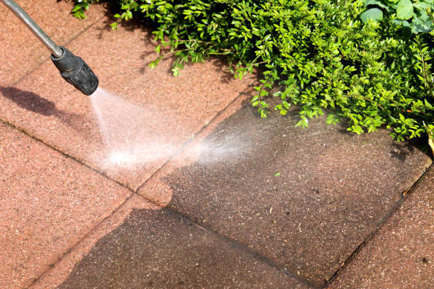 Best Roof Pressure Washing  in Morton, IL
